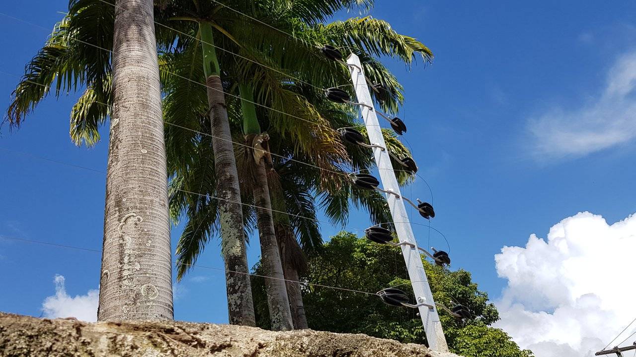 Cerca elétrica instalada no muro de um imóvel em Recife